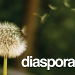 Código fuente de Diaspora Liberado